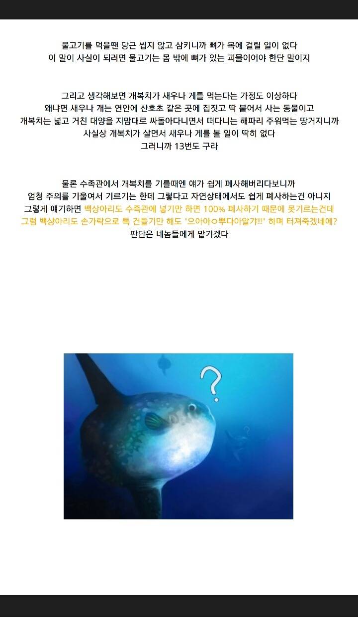 개복치가 죽는 진짜이유 | 인스티즈
