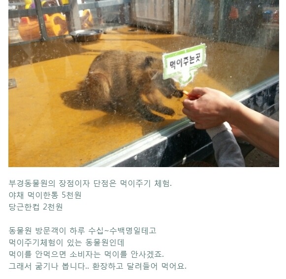 현재 난리난 동물농장 삼순이가 보내졌다는 부경동물원 상태..... | 인스티즈