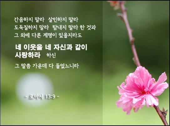 성경속의 사랑구절 . jpg | 인스티즈