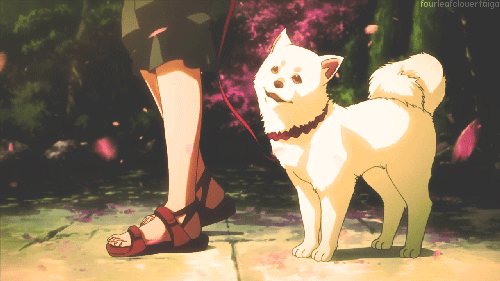 2D 강아지 (움짤多/ | 인스티즈