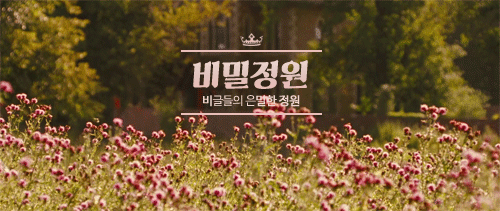 더이상 냉장고에 들어갈 수 없게 된 강아지.jpg | 인스티즈