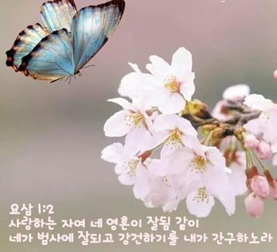 성경속의 사랑구절 . jpg | 인스티즈