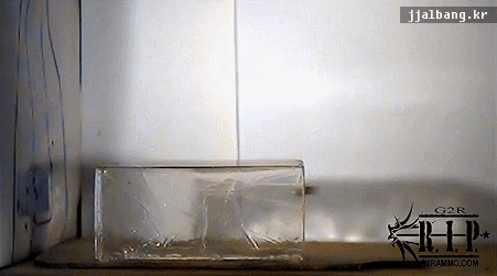 잔인한 총알.gif | 인스티즈