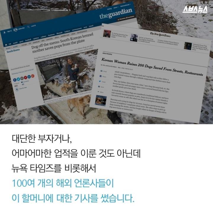  개 먹는 나라의 사연? | 인스티즈