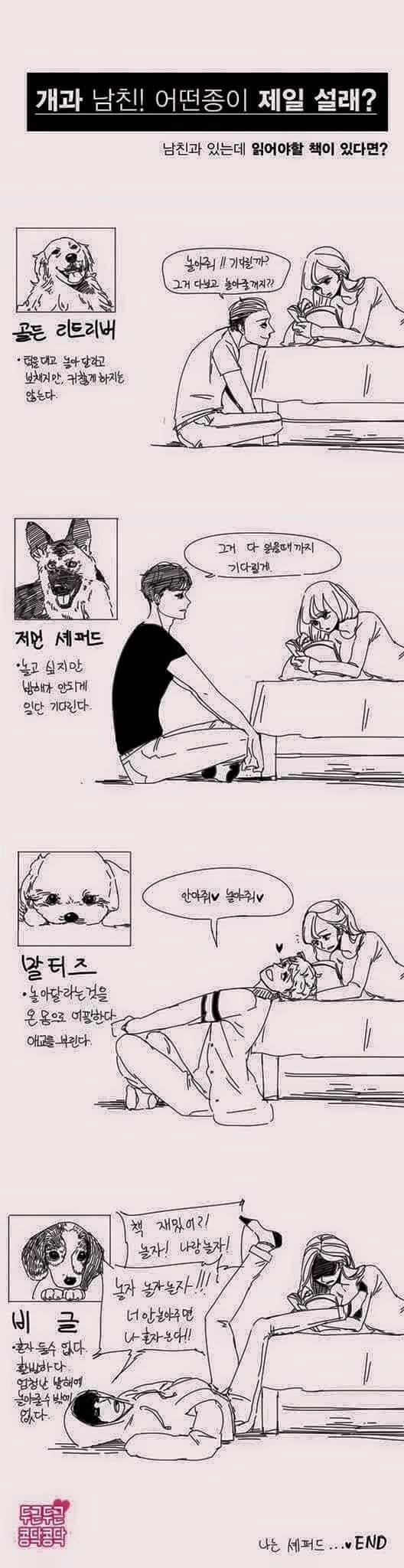 개 같은 남친.Jpg - 인스티즈(Instiz) 인티포털 카테고리