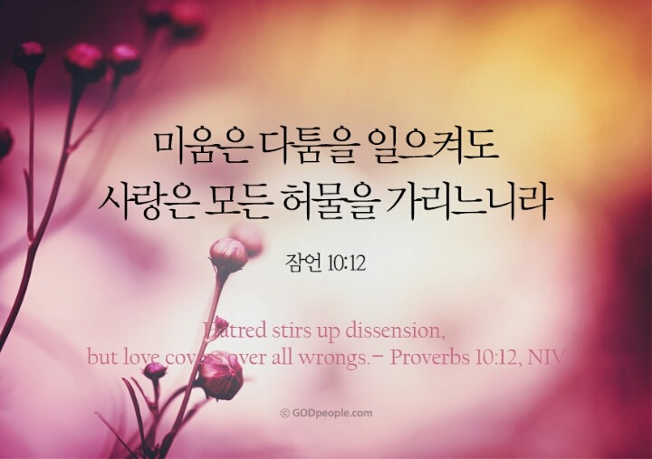 성경속의 사랑구절 . jpg | 인스티즈