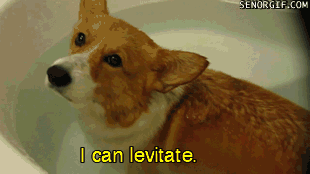 여자들한테 치명적으로 보인다는 뒷모습 ㄷㄷㄷㄷㄷ.JPG | 인스티즈