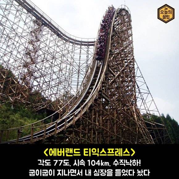 국내 무서운 놀이기구 BEST 8 | 인스티즈