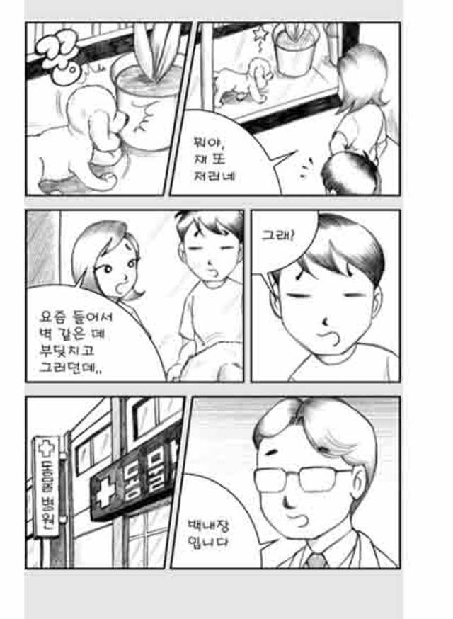 [눈물주의슬픔주의] 당신은 강아지에게 다정한 주인인가요? | 인스티즈