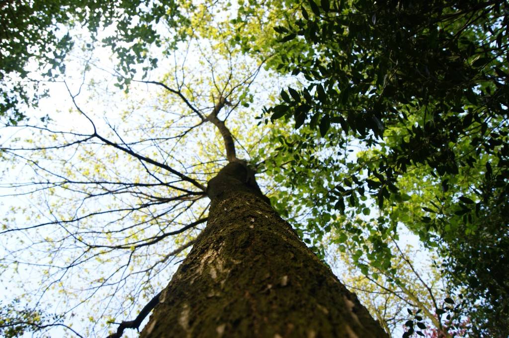 고해상도 컴퓨터 배경화면 376번째 게시물 BGM- Tales Weaver OST - Good evening narvik | 인스티즈