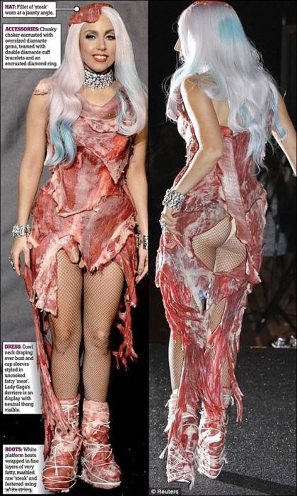 소고기 의상.jpg | 인스티즈