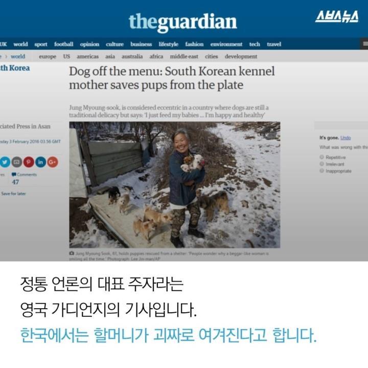  개 먹는 나라의 사연? | 인스티즈