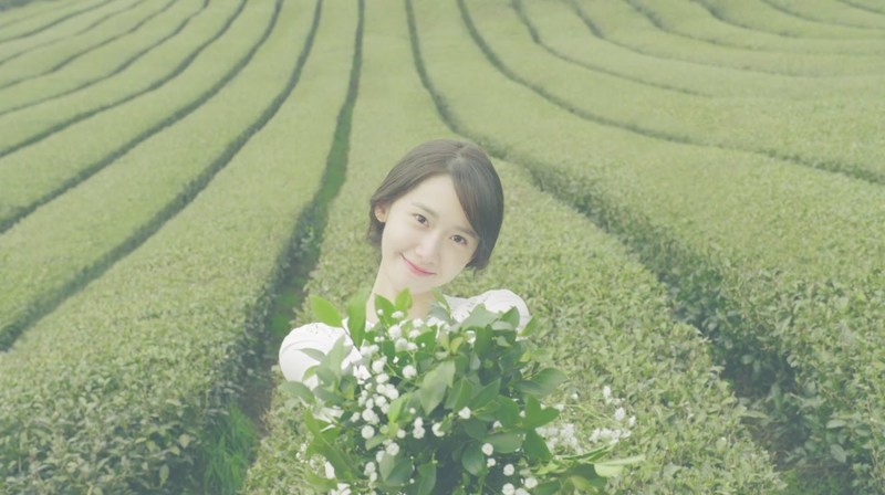 역대 이니스프리 모델.jpg | 인스티즈