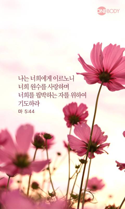 성경속의 사랑구절 . jpg | 인스티즈