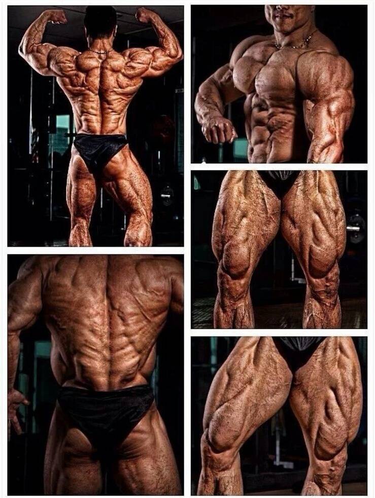 대한민국 최고의 보디빌더.. 수많은 후배들도 존경하는 분 | 인스티즈