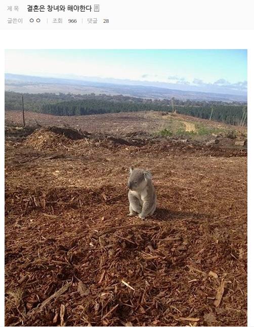 결혼하고 후회하는 사람들.jpg | 인스티즈