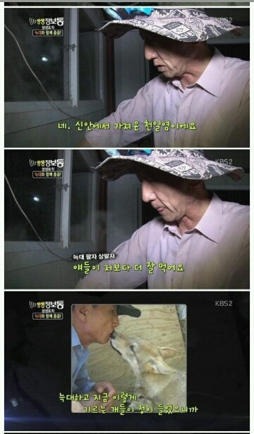 사기 당해서 늑대 키우는 집 | 인스티즈