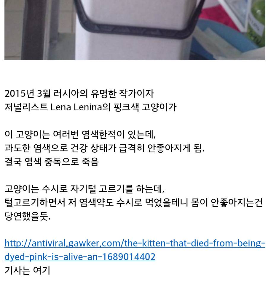 핑크색 고양이의 죽음.jpg | 인스티즈