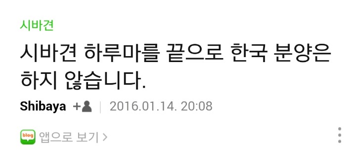 더 이상 한국인에겐 시바견 분양 안하겠다는 일본인 | 인스티즈