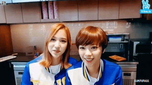 던킨 트와이스.gif | 인스티즈