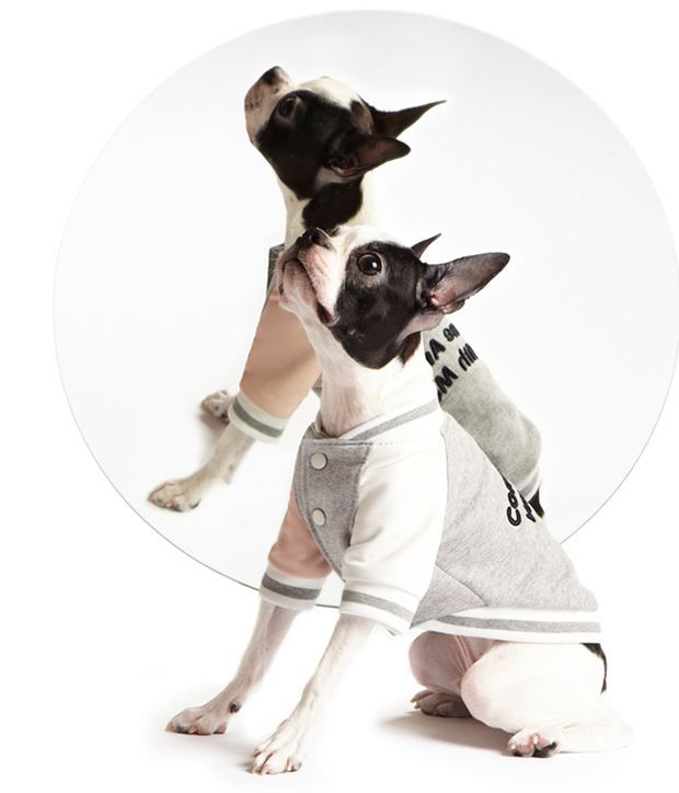 사주고 싶지만 돈없어서 못사주는 강아지옷 모음.. (부제 : 울집 강아지 눈감아) | 인스티즈