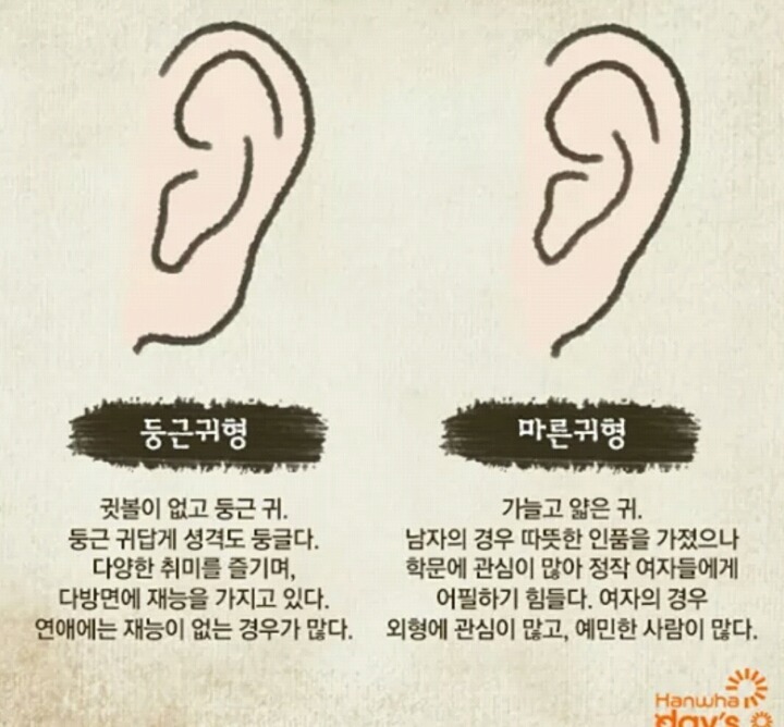 귀모양으로 보는 성격! | 인스티즈