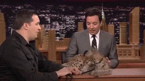 동물덕후들이 해외토크쇼를 부러워하는 이유 | 인스티즈