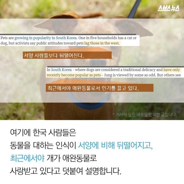  개 먹는 나라의 사연? | 인스티즈