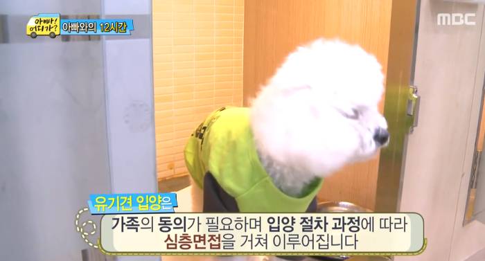 [아빠어디가] 유기견을 대하는 윤후의 태도 .jpg | 인스티즈