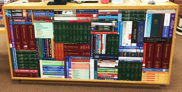 뭔가 기분이 좋아지는 사진 | 인스티즈