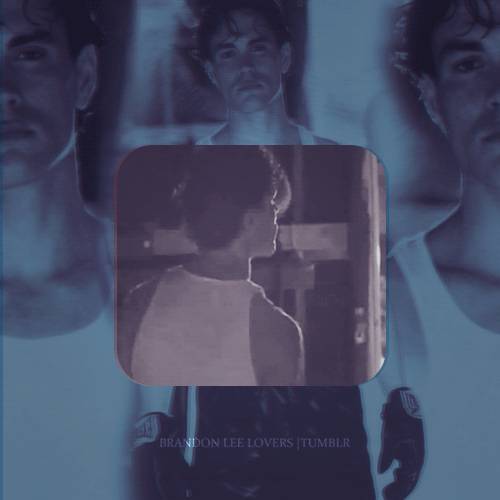 [브랜든리] 살아 있다면 아버지 이소룡 뒤를 이을 유명한 액션 스타가 되었을 크로우 주인공 | 인스티즈