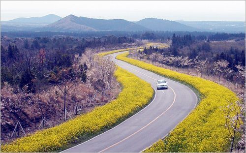 대한민국 최고의 드라이브코스들 총망라 | 인스티즈
