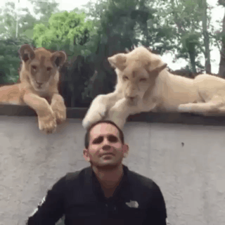 힘 없는 사람 머리 툭툭 치는 일진 ㄷㄷ | 인스티즈