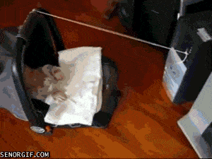 애한테 아빠를 맡기면 안되는 이유.jpgif | 인스티즈