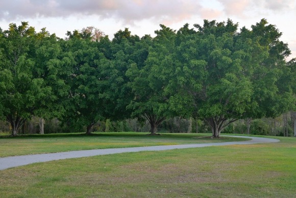 우리가 지금까지 잘 모르고 있었던 북한의 13가지 이야기들.jpg | 인스티즈