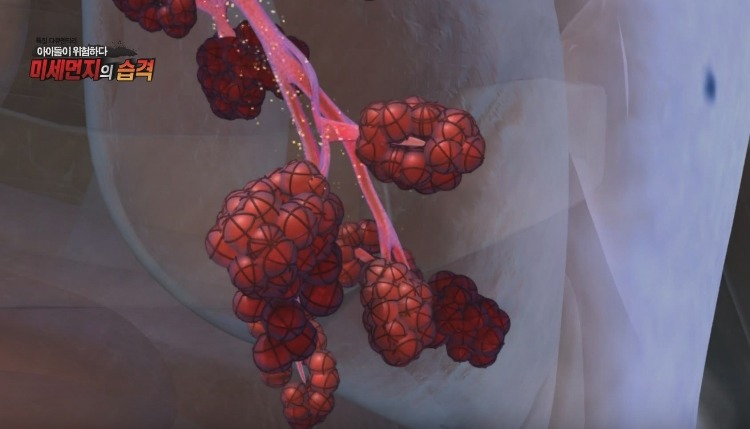 미세먼지가 위험한 진짜 이유 | 인스티즈