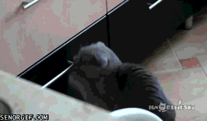 여자들한테 치명적으로 보인다는 뒷모습 ㄷㄷㄷㄷㄷ.JPG | 인스티즈