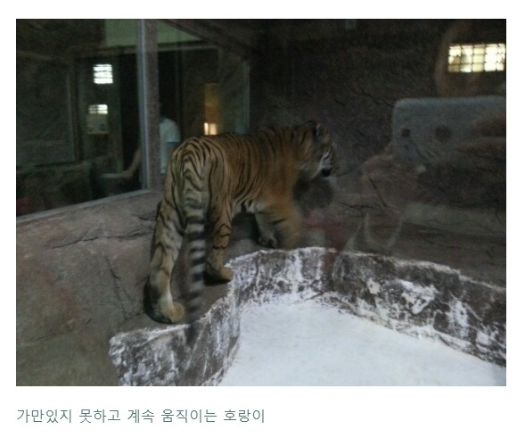 현재 난리난 동물농장 삼순이가 보내졌다는 부경동물원 상태..... | 인스티즈