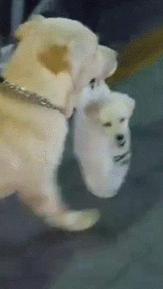 어린이집 데려다 주는 길 | 인스티즈