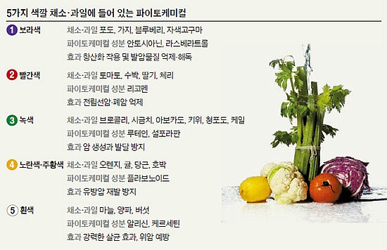 암을 예방하는 방법 암예방에 좋은 음식들 | 인스티즈