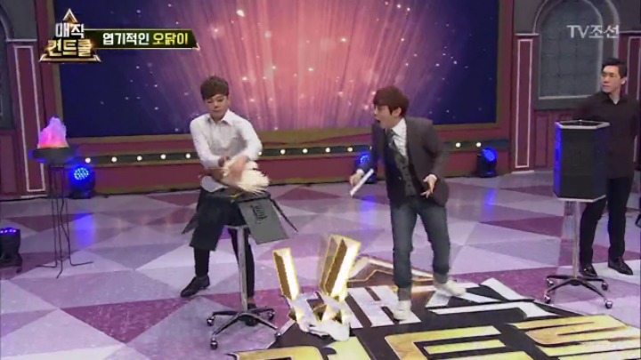 최현우 충격 엽기적인 동물마술 | 인스티즈