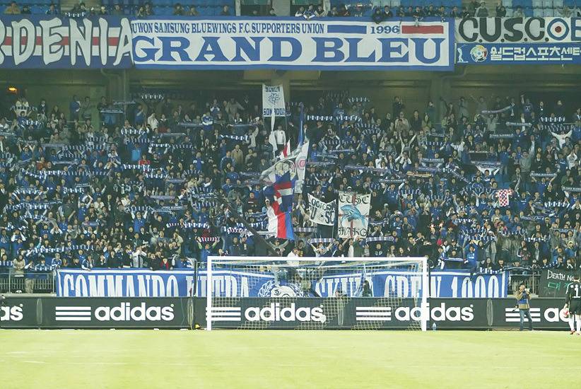 수원을 사랑하는 이들이여 | 인스티즈