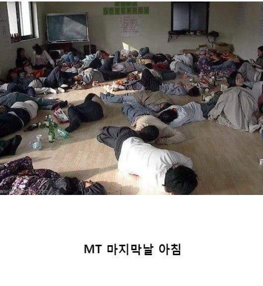 대학교 MT 마지막 날 아침상황.jpg - 인스티즈(instiz) 이슈 카테고리