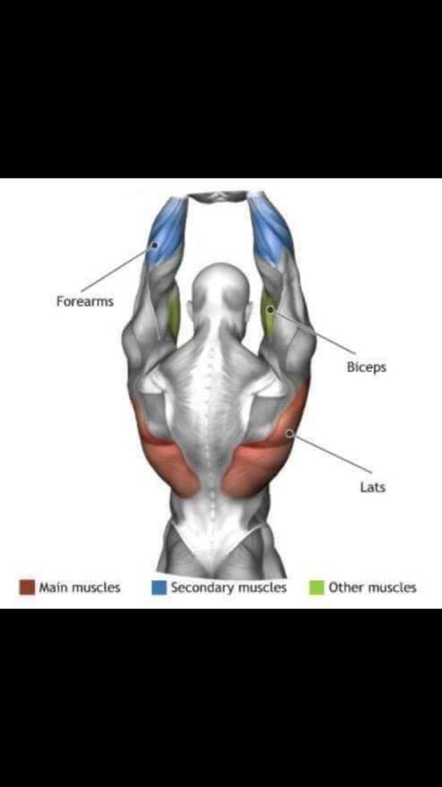 스트레칭간 근육 이완 부위 | 인스티즈