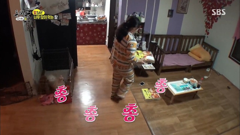 [동상이몽] 치킨 감별사 여고생 ㅋㅋㅋㅋㅋㅋㅋㅋㅋ | 인스티즈