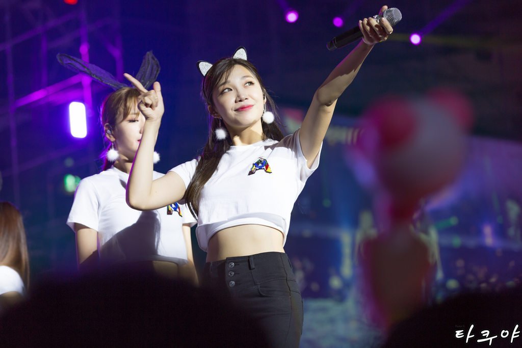 에이핑크 콘서트 사진.jpg | 인스티즈