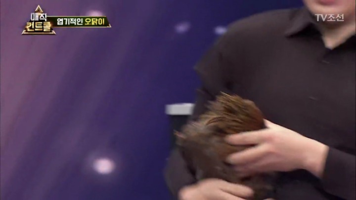 최현우 충격 엽기적인 동물마술 | 인스티즈