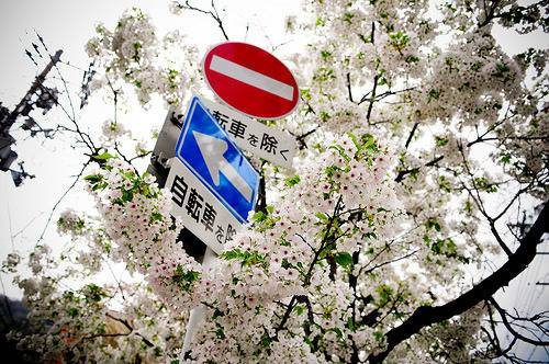 우리들이 사랑한 그 계절의 분위기 | 인스티즈