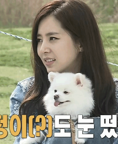 주인 닮은 한채아네 강쥐.gif | 인스티즈