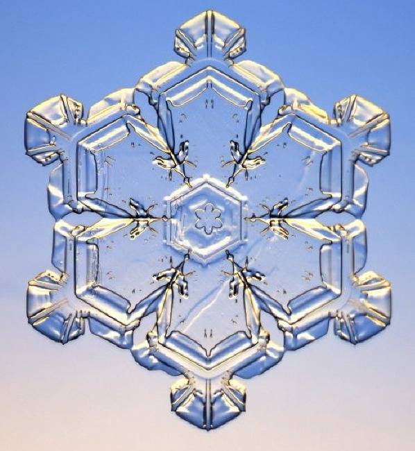 자연의 신비 - 눈결정 | 인스티즈